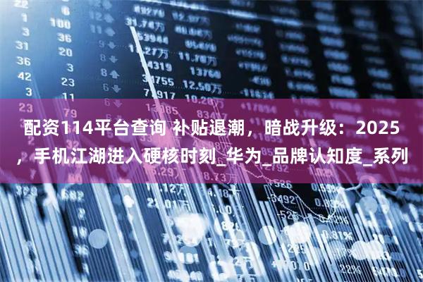 配资114平台查询 补贴退潮，暗战升级：2025，手机江湖进入硬核时刻_华为_品牌认知度_系列