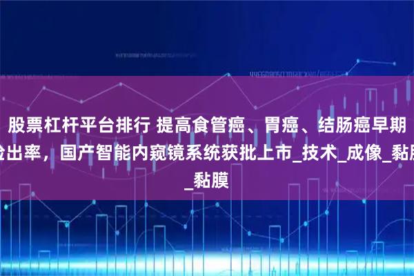 股票杠杆平台排行 提高食管癌、胃癌、结肠癌早期检出率，国产智能内窥镜系统获批上市_技术_成像_黏膜